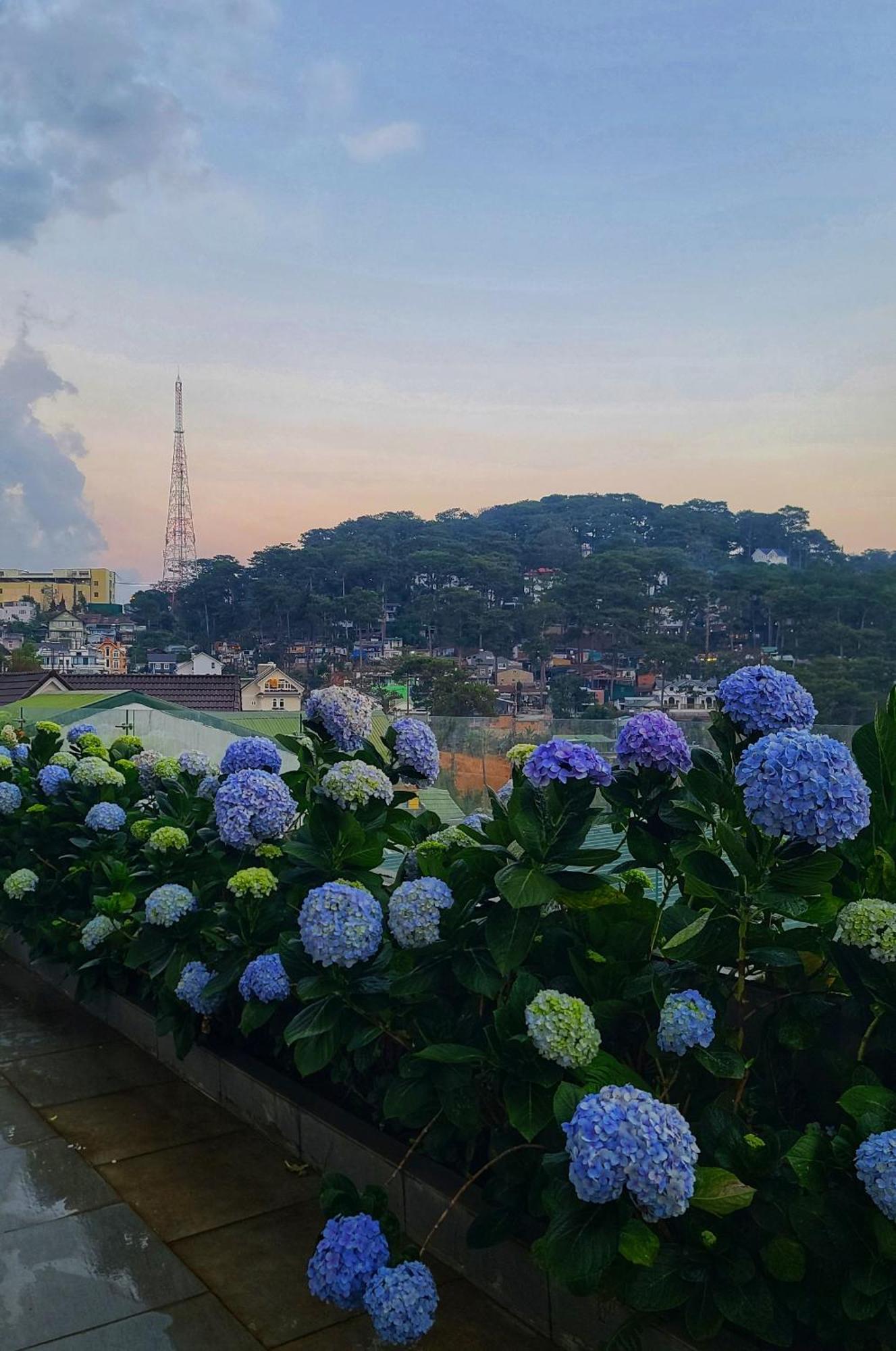 The Luxe Da Lat Otel Dış mekan fotoğraf